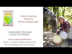 Wege zum Erfolg - Antoinette Hitzinger