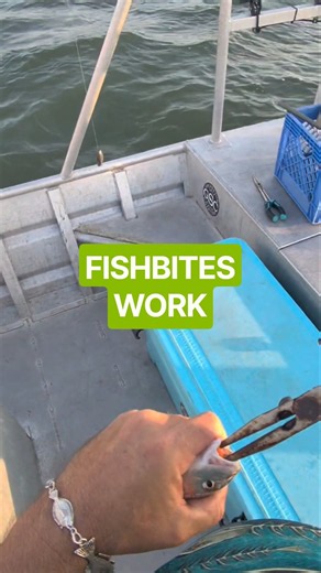 Fishbites straight up catch fish! #galvestonsaltwatercharters #galvestonfishing