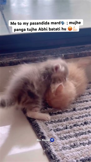 #viralvideo#tagyourpartner#morefollower for more videos… comment 👇🏻