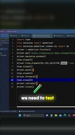 👉 Test Responsive Apps with Viewports in Selenium!