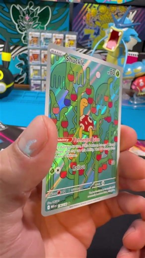 Shuckle IR Pull From Mega Evolution Pack! #shorts #pokemon #pokemoncards