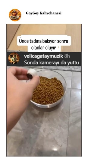 Mayavettin the cat, the food quality control master 😻😂