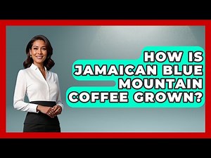 How Is Jamaican Blue Mountain Coffee Grown? - The Caribbean Expert