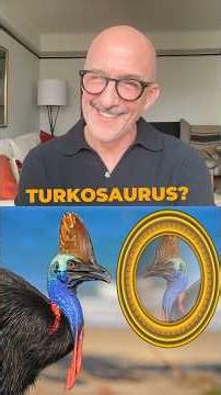 Jim Rash asks: cassowary bird or three turkeys in a trench coat? 👀 #birds #naturepbs #animals #learn