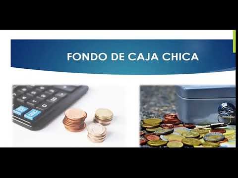 Control interno de efectivo (Caja Chica)