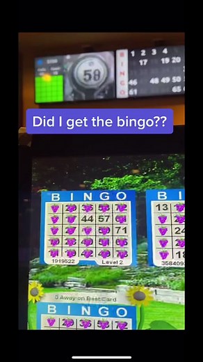 #fypシ #nuggetreno #bingo #bingoaddict #daubingmsmea #bigfootdauber #FindYourEdge #