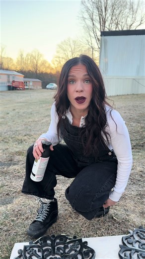 1971 Doublewide Trailer Remodel: Siding Transformation