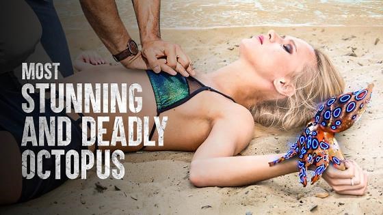 Surviving a Blue Ringed Octopus Bite