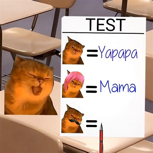 Baby Banana Cat School Day 😺❤️ #catmemes #cat #shorts #fyp #bananacat