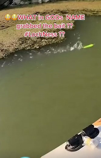 Monster Fish Encounter while Lure Fishing