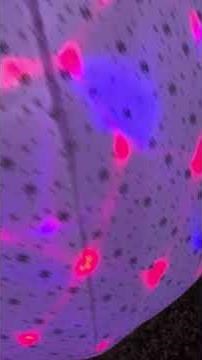 8FT Inflatable Snowman With LED Lights | Holiday Yard Decor☃️