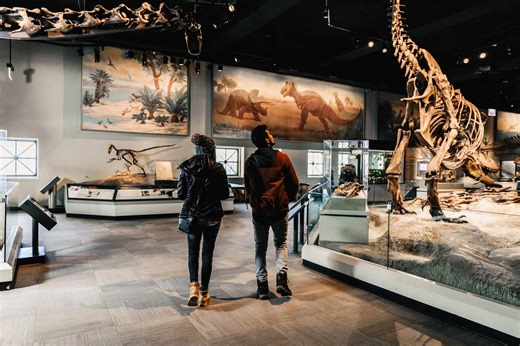 The 8 Best Museums in Chicago