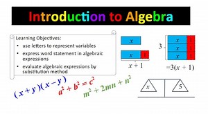Algebraic Expressions: Introduction worksheet & Solutions - Etsy Canada