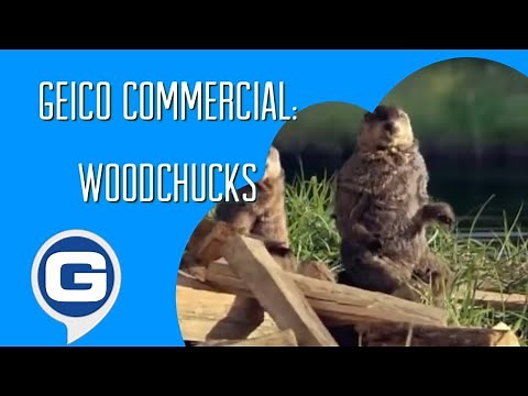GEICO Commercial - Woodchucks 🪵🦫 (2010)