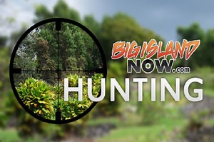 Game Bird Hunting to Begin at Kahua/Ponoholo Ranch | Big Island Now