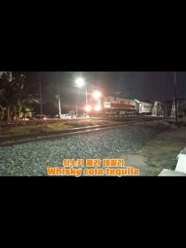 KA 7016A Brantas Tambahan Papasan KA 32 Pandalungan Priority Menggunakan Livery Nataru 🎁🎄