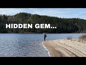 Scenic Newfoundland Trout Fishing | 4K
