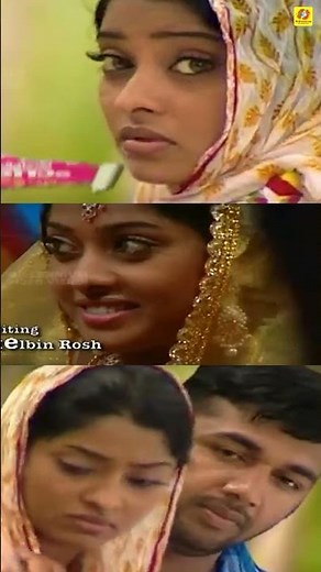 ചമയിച്ചൊരു പന്തലിനുള്ളില്‍ ആളുകള്‍വന്ന് | Album Song | AduthaVeettile Kalyanam | Saleem Kodathoor