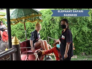 Elephant Ride in Bangkok | Thailand Vlog