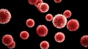 Germ theory denial: A major strain in “alt-med” thought