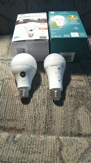 Battery Backup Light Bulbs for Power Outages