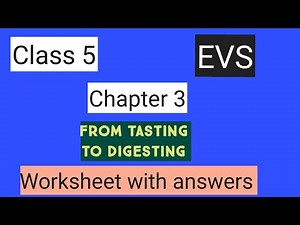 #studytime Class 5/EVS/Chapter 3/ From tasting to digestion/Worksheet with answers/KV/NCERT/CBSE