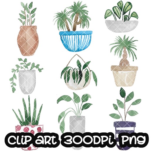 Plant Clip Art Leaves Leaf Watercolor Clipart PNG - Etsy