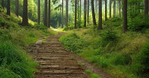 TomTom Releases Archive of Secret ‘Off the Beaten Path’ Trails