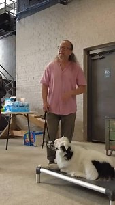 2.1K views · 112 reactions | Sometimes dogs growl before they bite....