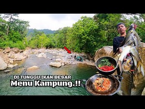 MENU KAMPUNG.!! DITUNGGU IKAN BESAR TAK MEWAH NAMUN SANGAT NIKMAT