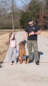 1.2M views · 33K reactions | From biting his owners to obeying a...