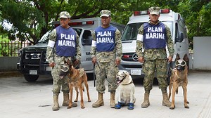 ¿Qué es un binomio canino y cómo son entrenados? | Código Espagueti