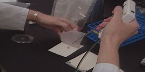 Senate Bill 392 clarifies labeling of cell-cultured meat products