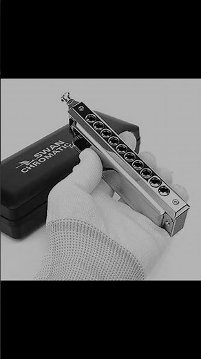 Chromatic Harmonica Showcase