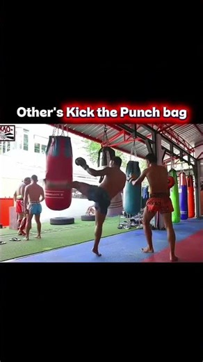 taekwondo kick the punching 🦶 bag.