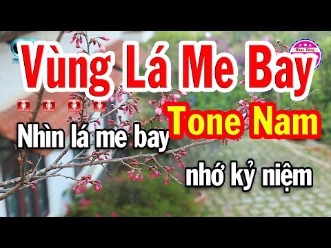 Vùng Lá Me Bay Karaoke Tone Nam ( Bm ) Nhạc Bolero Trữ Tình Dễ Hát | Nhạc Sống Cẩm Yến