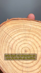 🌳¿Cómo se calcula la edad de un árbol? ✅✅ el análisis de profeco al colágeno hidrolizado #rafacarbajal #ciencia | Rafa Carbajal