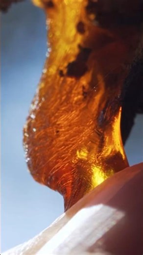 Top 3 Best Rich Smelling Amber Fragrances - Long Lasting & Head Turning! #fragrance #perfume