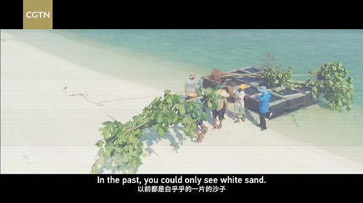 Trailer: Greening the Blue Seeing a tree grow tall, returning a rescued sea turtle home, replanting coral gardens, and turning sand into green islands. CGTN’s “Greening the Blue,” a 30-minute documentary, shows how it happens in the South China Sea. Be sure to tune in on July 8, 2024! #GreeningTheBlue##SovereigntyAtStake# | CGTN Documentary