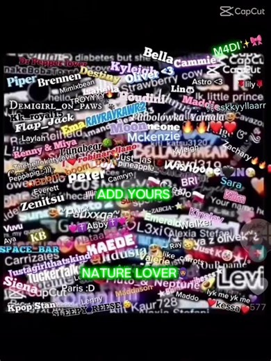 Go on an editing app and write sign to stop abuse