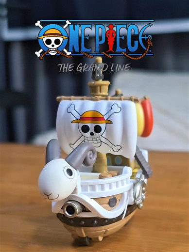 Exploring the Grand Line in One Piece