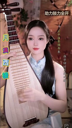 Pipa Unleashed: Blending Ancient Chinese Melodies with Modern Global Sounds#chinesemusic #sleepmusic