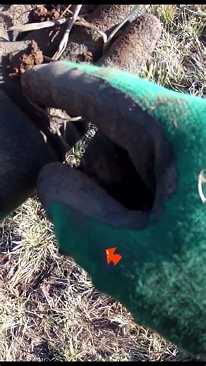 Relic Hunting, Treasure Hunting #metaldetecting #treasuresearch #explore #treasure