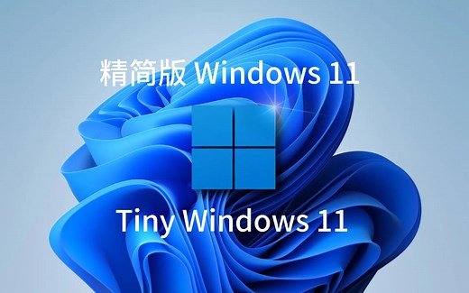 Tiny Windows 11，Windows11 精简版安装部署