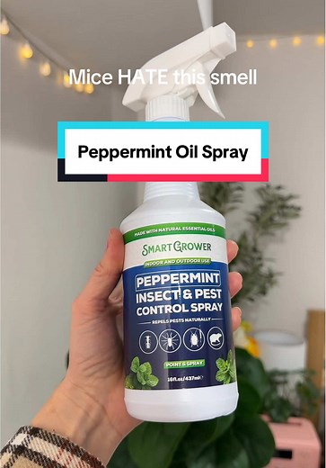 Natural Peppermint Oil Spray: Effective Mouse Repellent