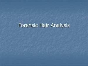 Forensic Hair Analysis - SlideServe