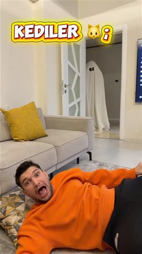 Dogs vs. cats: reaction to a ghost.