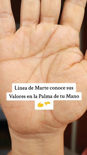 Understanding the Significance of Palm Lines