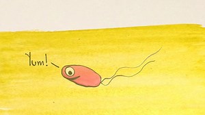 Three Ways Pee Could Change the World | Gross Science