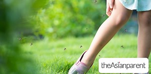 17 mosquito repellent plants na maaari mong itanim at ilagay sa bahay | theAsianparent Philippines